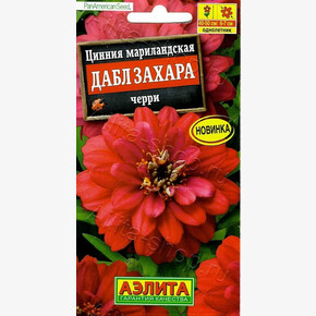 Цинния Дабл Захара черри/ Аэлита
