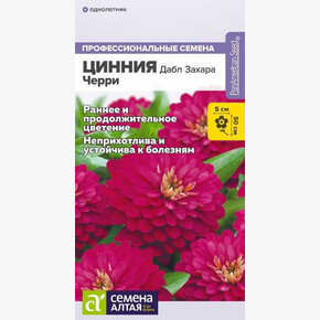 Цинния Дабл Захара Черри/Семена Алтая/цп 5 шт.