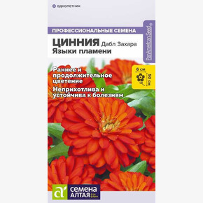Цинния Дабл Захара Языки пламени/Семена Алтая/цп 5 шт.