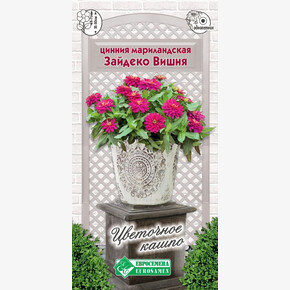 Цинния ЗАЙДЕКО ВИШНЯ мариладская 5 шт/ Евросемена