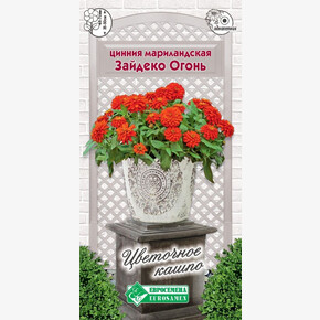 Цинния ЗАЙДЕКО ОГОНЬ мариладская 5 шт/ Евросемена