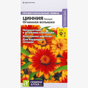 Цинния Захара Огненная вспышка/Семена Алтая/цп 5 шт.
