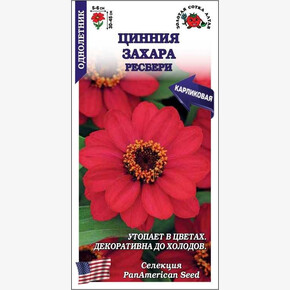 Цинния Захара Ресбери /Сотка/ 5 шт