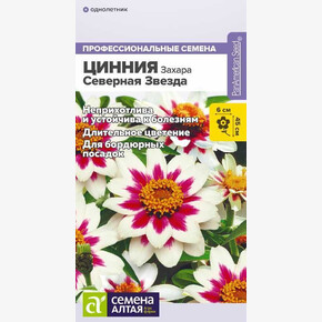 Цинния Захара Северная звезда/Семена Алтая/цп 5 шт.
