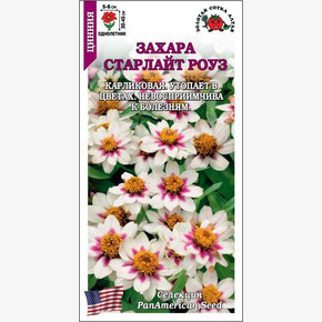 Цинния Захара Старлайт Роуз/ Сотка 5шт