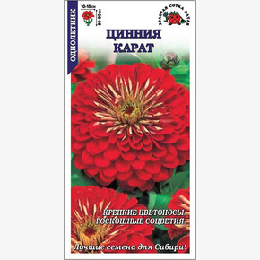 Цинния Карат /Сотка/ 0,2г/ красн. h-90см, d-15см/*1200