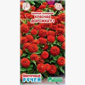 Цинния Красная Дорожка F1/ Евросемена