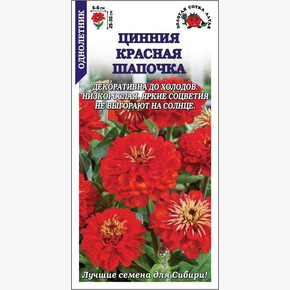 Цинния Красная шапочка /Сотка/ 0,2г/ h-25-35см d-5-6см /*1000