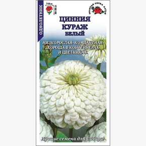 Цинния Кураж Белый/ Сотка