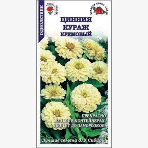 Цинния Кураж Кремовый/ Сотка