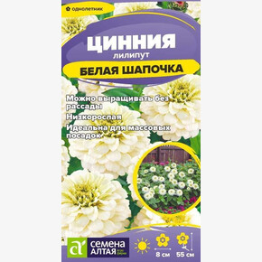 Цинния лилипут Белая Шапочка/Сем Алт/цп 0,2 гр.