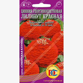 Цинния Лилипут Красная /0,2 гр Деметра/