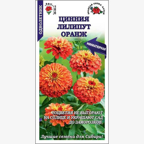 Цинния Лиллипут Оранж /Сотка/ 0,2г