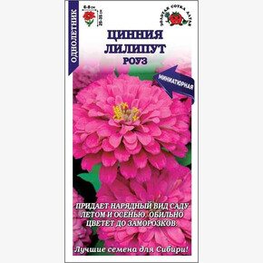 Цинния Лиллипут Роуз /Сотка/