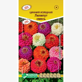 Цинния ЛИЛЛИПУТ смесь (0,3 гр)/ Евросемена