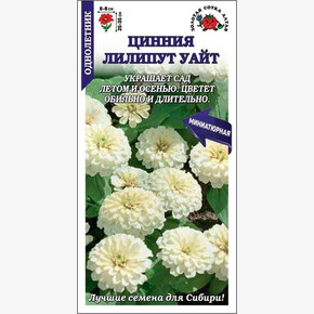 Цинния Лиллипут Уайт /Сотка/ h-25-23.d-6-8/0,3гр