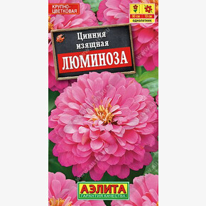 Цинния Люминоза /АЭЛИТА