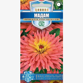 Цинния Мадам Русский богатырь /Гавриш/0,2гр