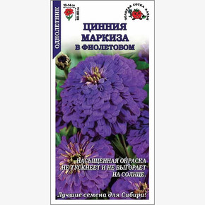 Цинния Маркиза в оранжевом/ Сотка