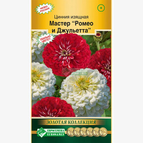 Цинния МАСТЕР Ромео и Джульетта (10 шт)/ Евросемена