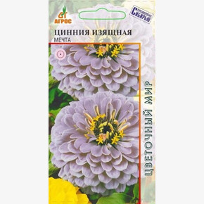 Цинния Мечта/ Агрос