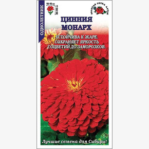 Цинния Монарх/ Сотка