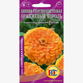Цинния Оранжевый король георгиноц. /0,3 гр Деметра/