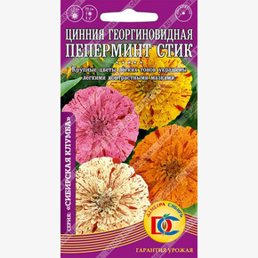 Цинния Пеперминт Стик /0,2 гр Дем Сиб/