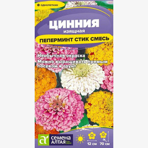 Цинния Пеперминт Стик/Сем Алт/цп 0,2 гр.