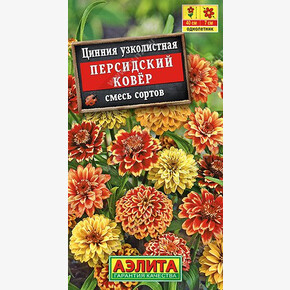 Цинния Персидский ковер АЭЛИТА