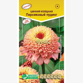 Цинния Персиковый пудинг/ Евросемена