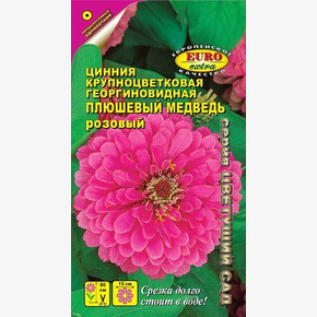 Цинния Плюшевый Медведь Розовый/ Аэлита