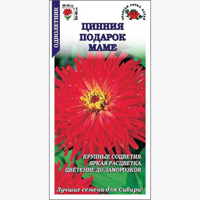 Цинния Подарок маме /Сотка/ 0,3г