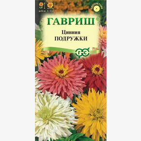 Цинния Подружки/ Гавриш