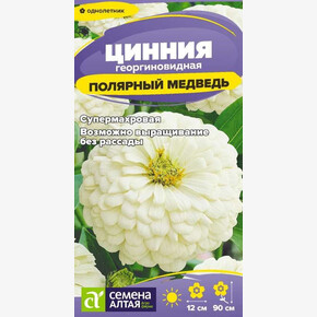 Цинния Полярный Медведь б/п Деметра