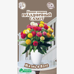 Цинния ПРАЗДНИЧНЫЙ САЛЮТ изящная 10 шт/ Евросемена