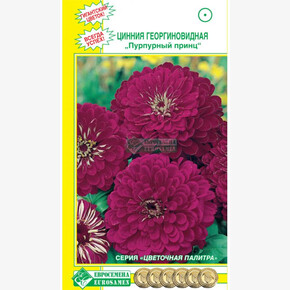 Цинния принц/ Евросемена