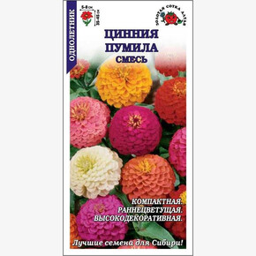 Цинния Пумила смесь /Сотка/ 0,2г/ h-35-45см, d-5-8см/ *1200