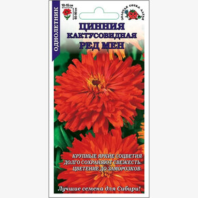 Цинния Ред мен /Сотка/ 0,2г/*1000