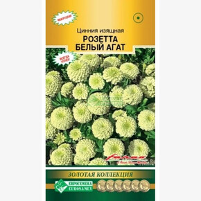 Цинния РОЗЕТТА БЕЛЫЙ АГАТ изящная 5 шт/ Евросемена
