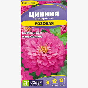 Цинния Розовая низкорослая/Семена Алтая/цп 0,2 гр.