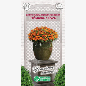 Цинния РЯБИНОВЫЕ БУСЫ мариландская махровая 10 шт/ Евросемена