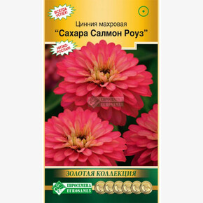 Цинния САХАРА Салмон-Роуз 10 шт/ Евросемена