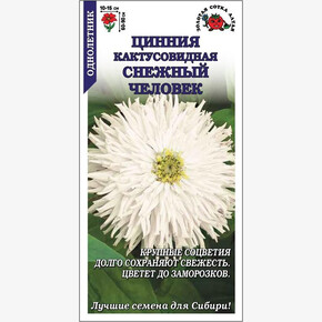 Цинния Снежный человек /Сотка/ 0,2г/*1000