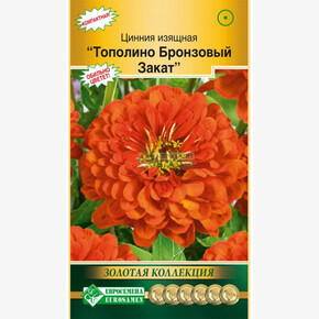Цинния ТОПОЛИНО Бронзовый Закат 10 шт/ Евросемена