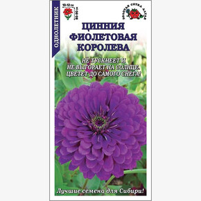 Цинния Фиолетовая королева /Сотка/ 0,3 г