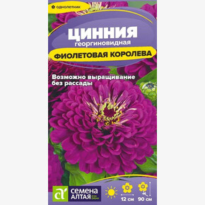 Цинния Фиолетовая Королева георгиноцв./Семена Алтая/цп 0,2 гр. (2029 / 41788)