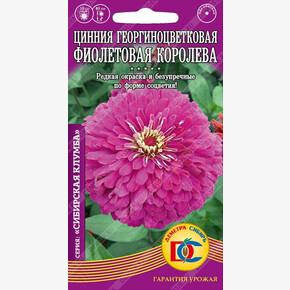 Цинния Фиолетовая Королева георгиноцветковая /0,3 гр Деметра/