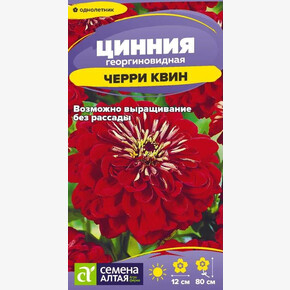 Цинния Черри Квин гб/п Деметра