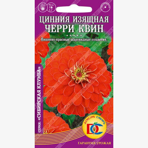 Цинния Черри Квин изящная /0,3 гр Деметра/